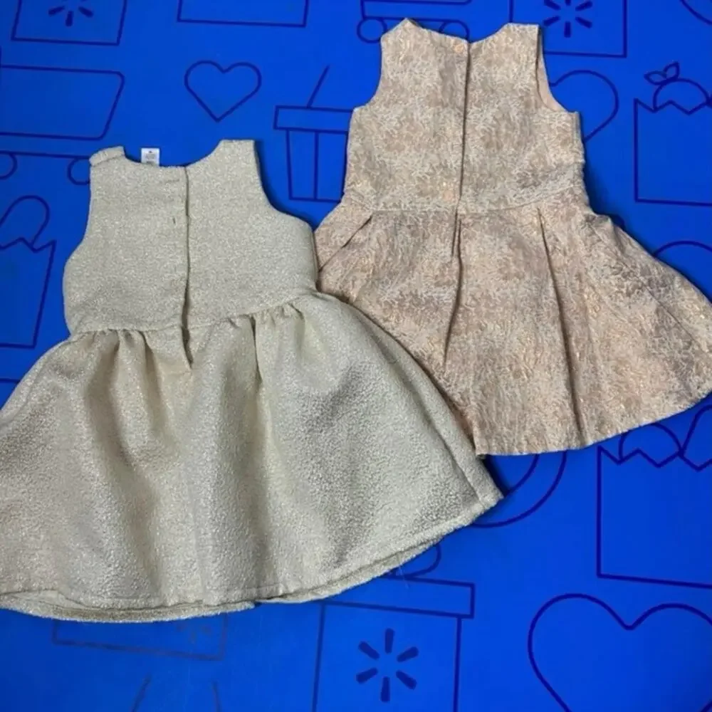 °｡⋆♡ Lot of 2 Girl Dresses Size 3T (D)